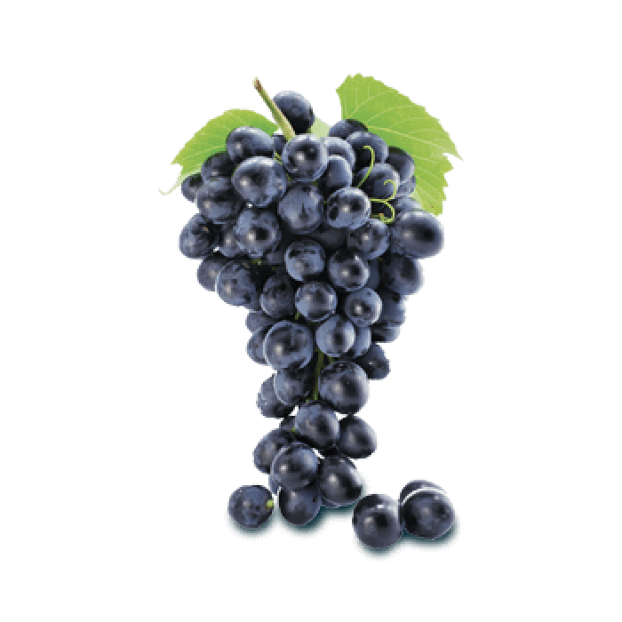Traubenkernextrakt